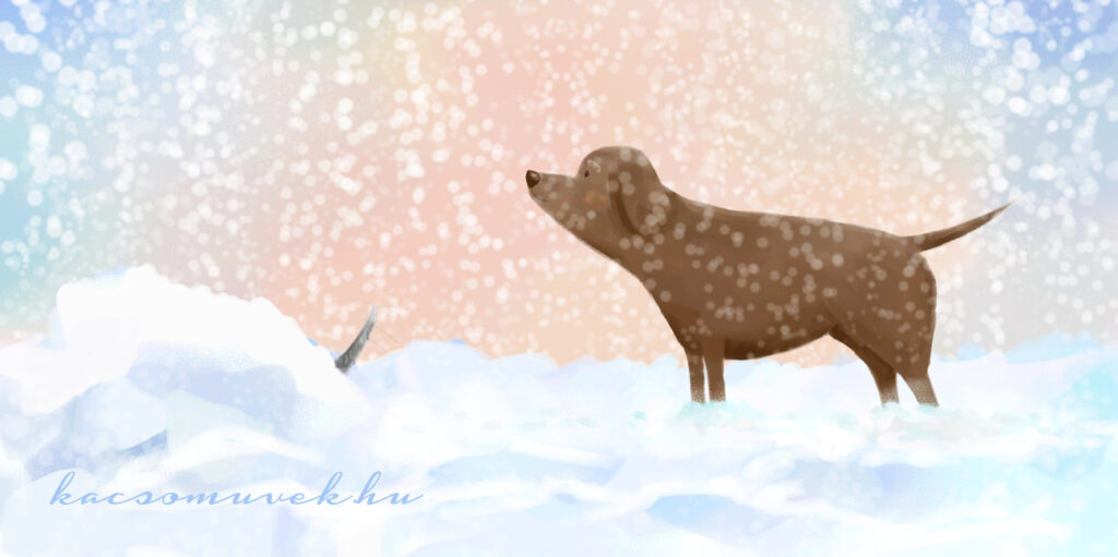 Kutyók a hóban